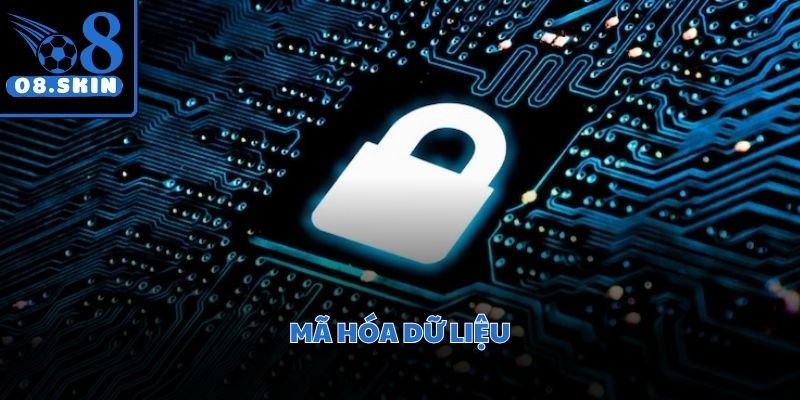 Mã hóa SSL tiên tiến giúp bảo vệ toàn bộ quá trình truyền tải thông tin